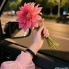 princess.mugal7