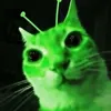 tanntannmenn4
