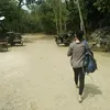 mariehazed