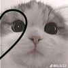 gus.anderson123
