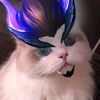 king__exp