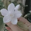 silin_alruwh_