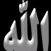 hamamibasma81