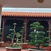 nguynthanhtun086