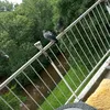 moniaholanda