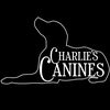 Charlie’s Canines