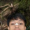 lival_co