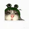 michoso_