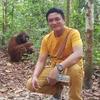 Bahriyan Momod Orangutan