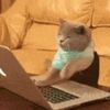 userbtctf3rmsh