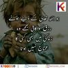 shaheerasif1233