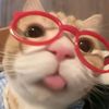 hihaahooo2