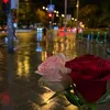 userh5ezxepxf9