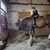 proste_meli01