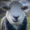 holycrusader769