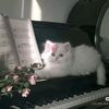 cloudyxmae0