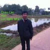 abcd.xyz88