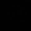rvl_zy