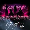 blinkkstay4ever_