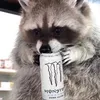 madzuax