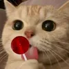 emilymaria428