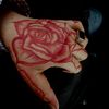 unavailable_seba