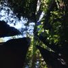 clareh_07