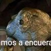 pepe996