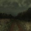 naturesomeba