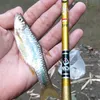 ridwan_angler24