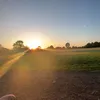 kdodds10