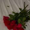 alizay_.tahir