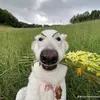 iehendjhsh