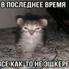 ..c_42