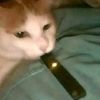 jdjwhwhjwajjaj10209393