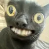 wagnyostalkaccko