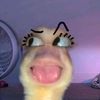 wwwiiiiiiiiiii