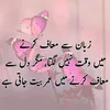 punjabi.hashmi7