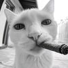 judekelvin_35