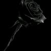 user5515410517192