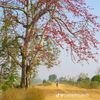 naymyanmar970