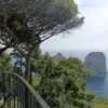 rosabattaglini288
