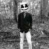 bhashi__official