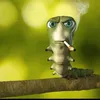 kle_en_pac