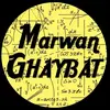 prof Marwan Ghaybat