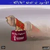 majida1982