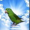 miguel_99.7