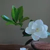 yasinibrahim8944