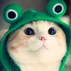 k._.katrin_