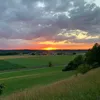 lark_vision
